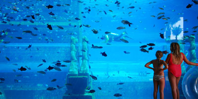 Aquariums & Marine Parks