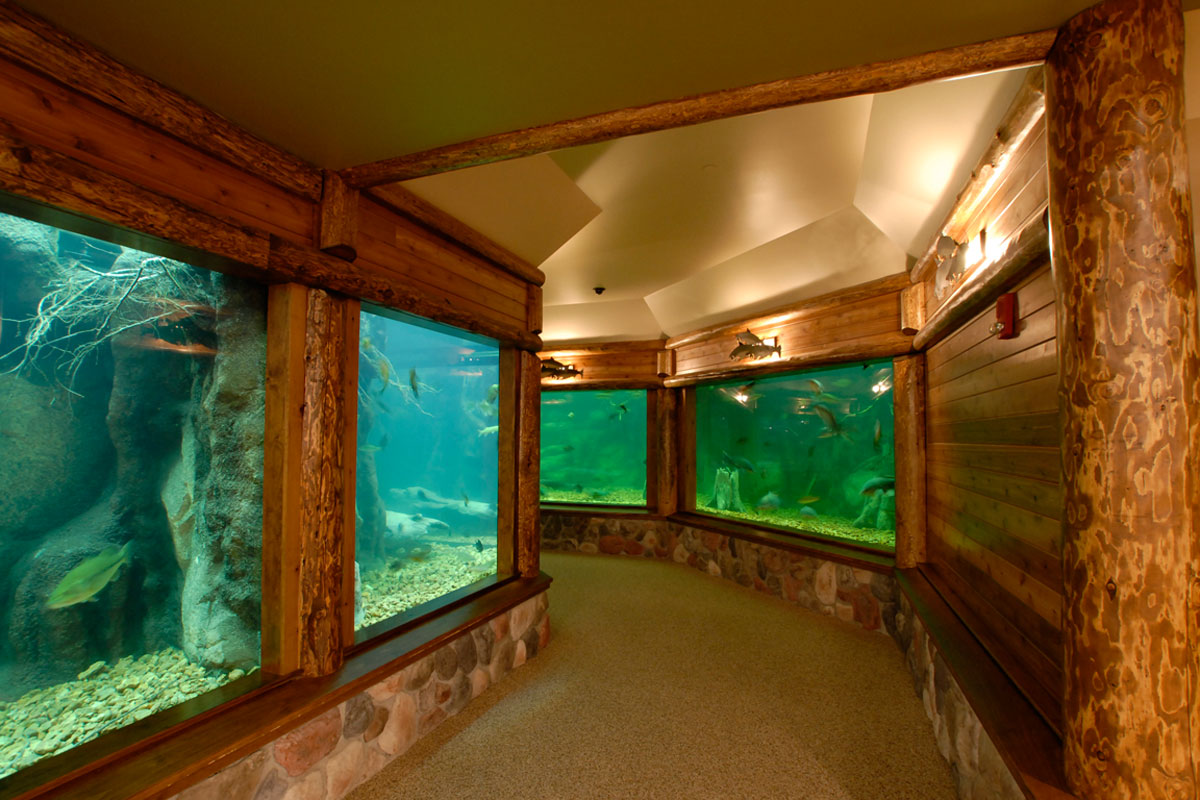 Aquatic Life Support Design